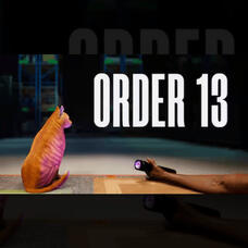 ORDER 13 ORDER 13