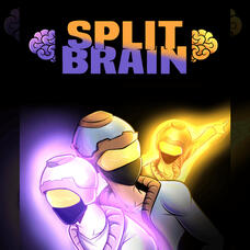 Split Brain Split Brain
