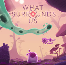 What Surrounds Us